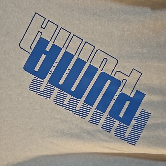 PUMA 2 PIECE OUTFIT: SHIRT/SHORTS: GRAY/BLUE: NEW WITH TAGS: SIZE 5 - Picture 2 of 6